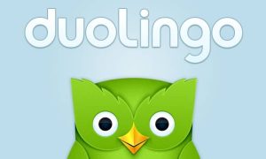 Duolingo-mascot-stylish